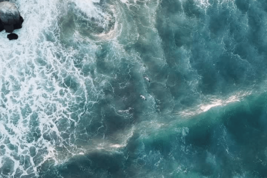 La Flottaison En Isolation Sensorielle